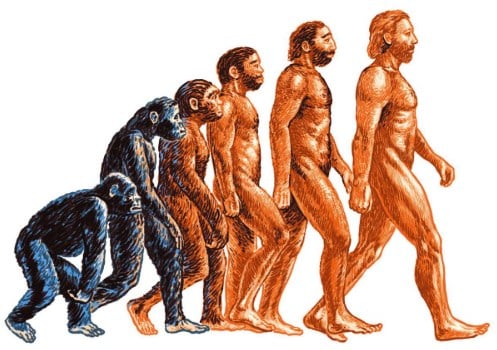 Manusia Purba : Pengertian, Sejarah, Evolusi, Teori Asalnya