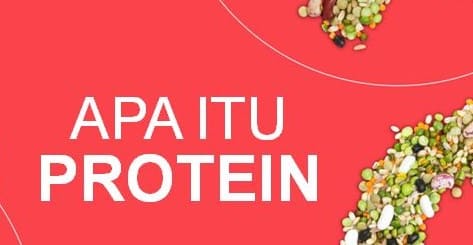 Berasal protein dari dinamakan yang protein tumbuhan 13 Makanan