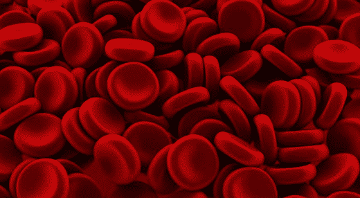 Di bawah ini yang tidak termasuk jenis-jenis sel darah yaitu