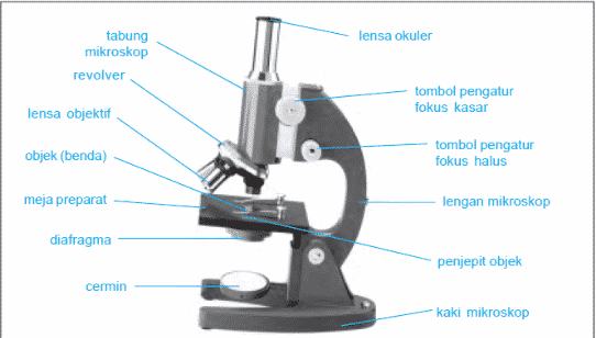 Fungsi lengan mikroskop