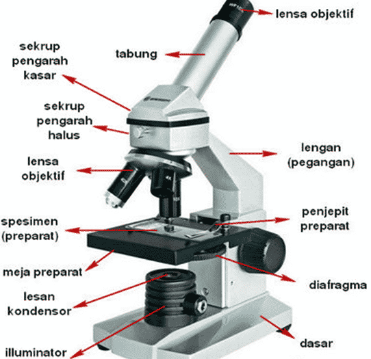 bagian mikroskop