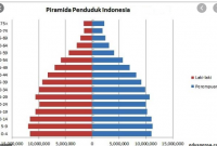gambar piramida penduduk