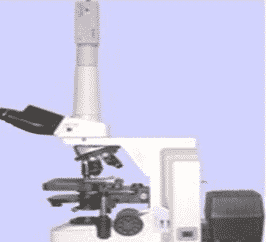 mikroskop medan gelap